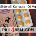 Sildenafil Kamagra 100Mg 41